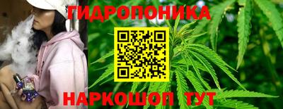 spice Донецк